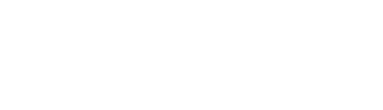 Logo - STA_Blanc